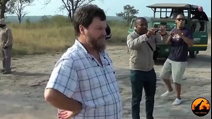 Arabanın Motoruna Dev Piton Girerse.. Yok Böyle Bir Şey