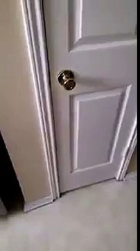 Çok Şirin Zenci Bebek