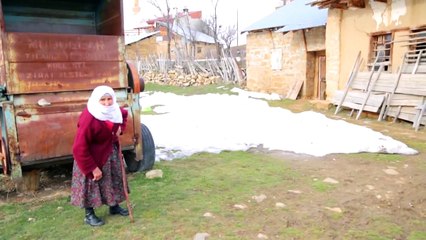 Mustafa Özer - Kozağaç Yaylası (2015)