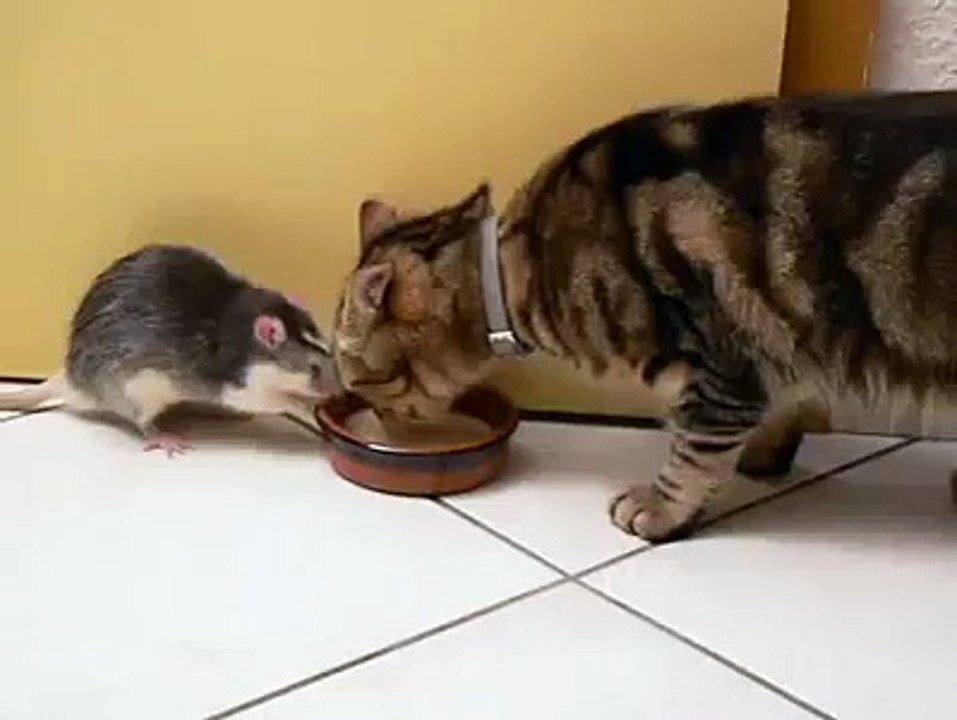 A la soupe