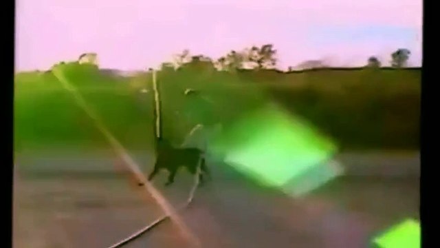 most funny videos ever seen Latest Whatsapp Funny Video Comedy Clips 2015 - 16