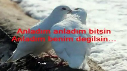 Şahsenem - Anladım yarim değilsin