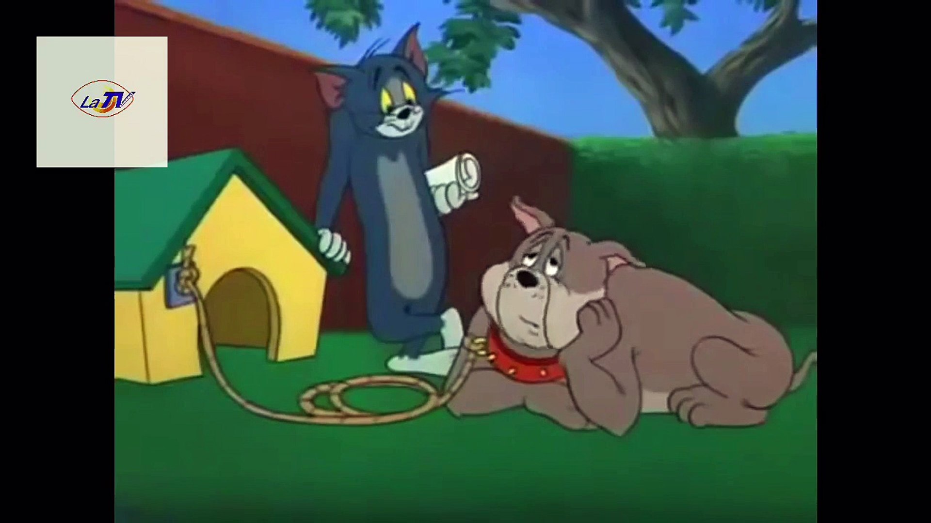 Tom & Jerry - Episodio 01 #Cartoons #Animation #Kids #Bambini #Tales -  Video Dailymotion
