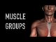 Shoulder Girdle Muscle Group - Black Background