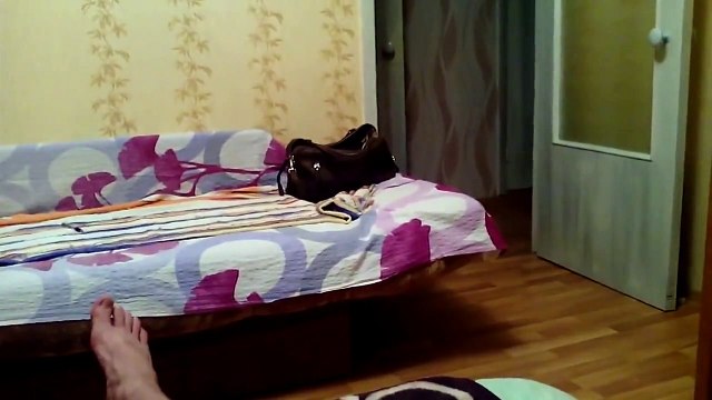 This Kitten Is Extremely Confused. How He Plays Is The Funniest Thing I've Seen In A Long Time.