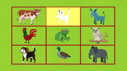 Petit Ours Brun – Comptine et devinettes pour mimer les animaux