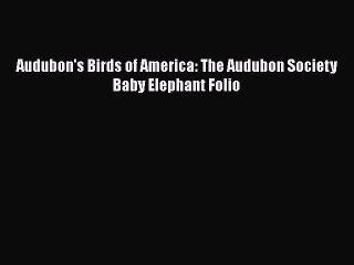 PDF Download Audubon's Birds of America: The Audubon Society Baby Elephant Folio Read Online