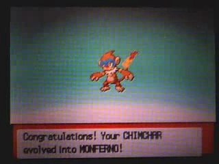Pokemon Pearl - Chimchar's Evolutions