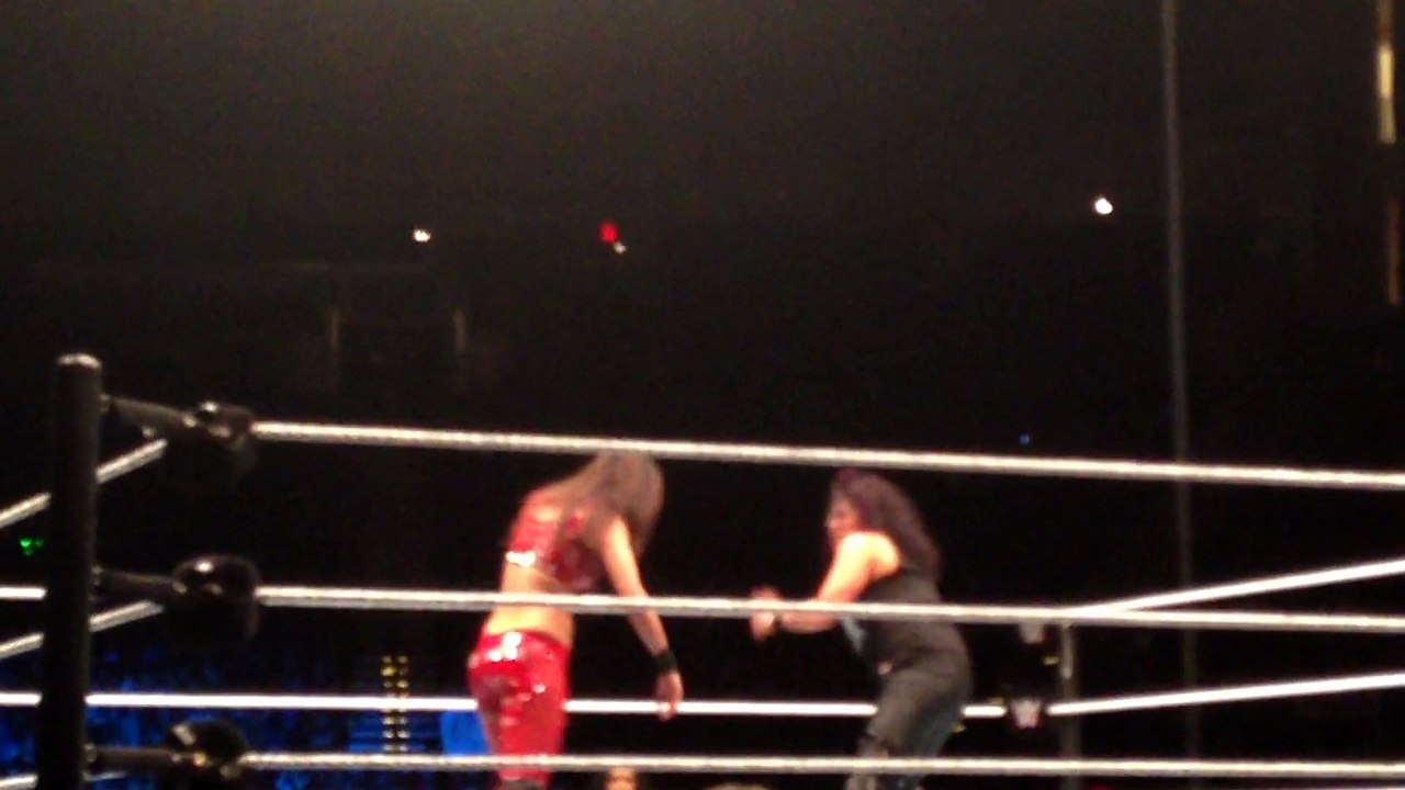 WWE Live - January 8, 2016