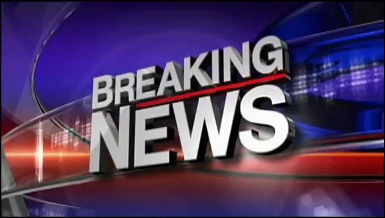 Funny cats annoying dogs,owls - Cute animal compilation