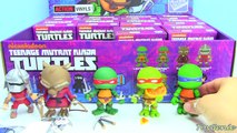 Teenage Mutant Ninja Turtles Action Vinyles De Cas Complète
