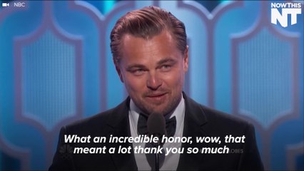 Leo Wins Best Actor In A Drama At The Golden Globes