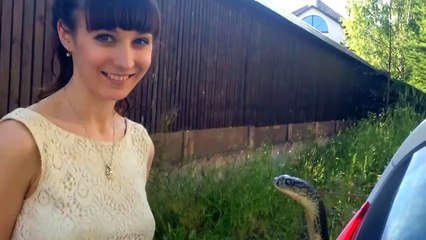 Поцелуй кобры! ВОТ ЭТО ДА!!