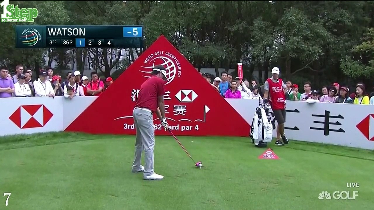 Top 10 Worst Golf Shot Fails from 2015 WGC HSBC