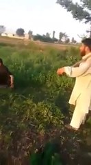 Pathan boys making fun - pashto funny video