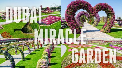 MY DUBAI LIFE !! VLog 12 # THE DUBAI MIRACLE GARDEN