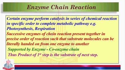 Enzyme Chain Reaction