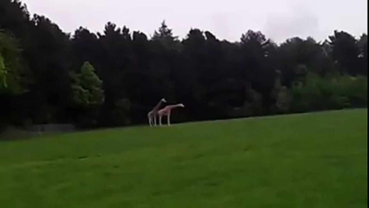 Hiçbir şey göründüğü gibi değildir!