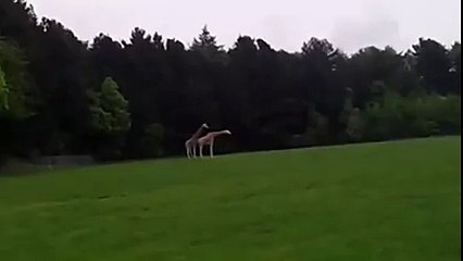 Hiçbir şey göründüğü gibi değildir!