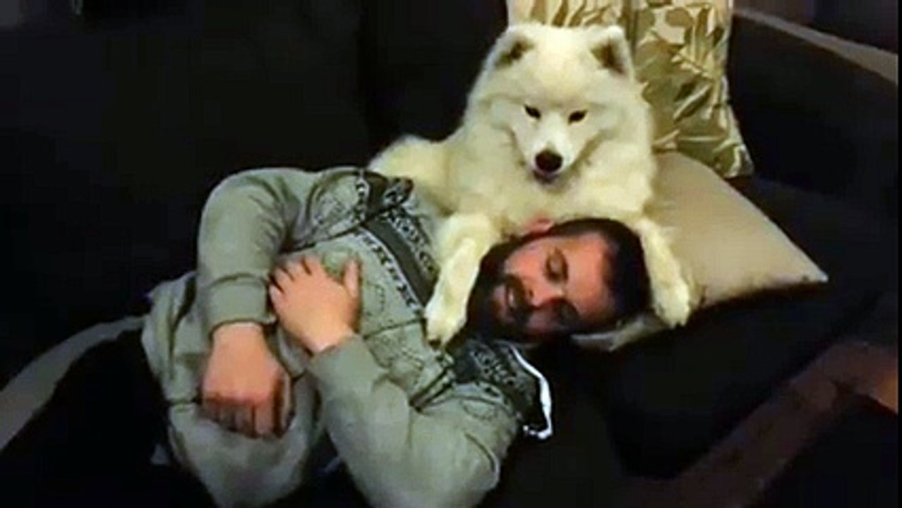 Sahibi ile köpeğin mükemmel uyumu!