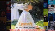 William John Leach An Irish Painter Abroad
