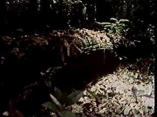 地球ロマン　生き物たちを巡る旅　（1996年放送） #6