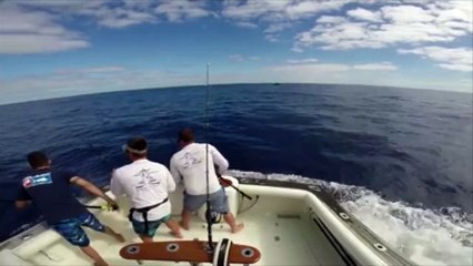 Se libra de milagro de ser ensartado por pez espada