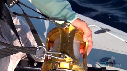 The Bull and the Unknown Giant