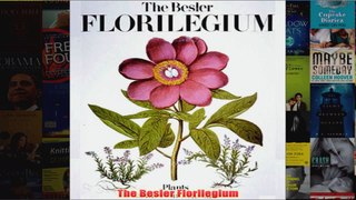 The Besler Florilegium