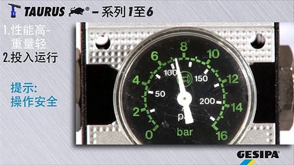 GESIPA TAURUS: Maintenance (Chinese)