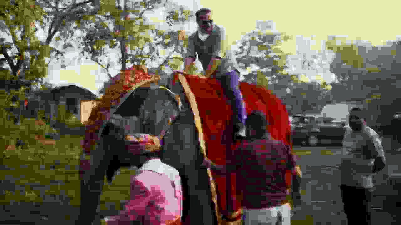 Bir Baba Hindu - Yeni Yıl Kutlaması 2