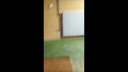 Célébration de la victoire -15M (34-19)