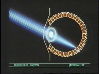 Evolution of the Eye (The Blind Watch Maker)