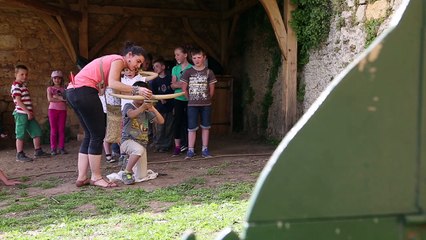 Château de CASTELNAUD (24)