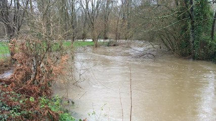 Intempéries : l'Yon déborde