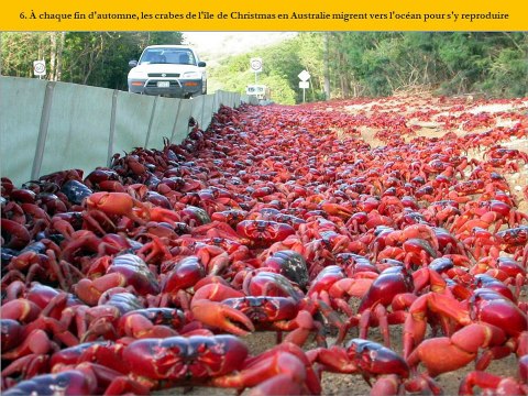 30 phénomènes naturels sur notre planête