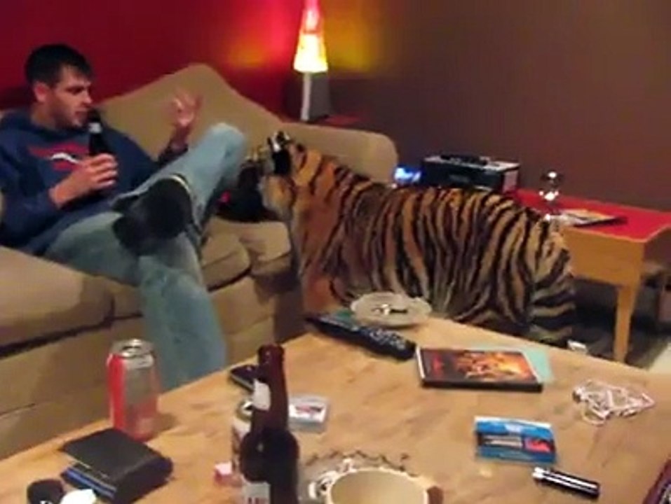 When You Have a Tiger at Home