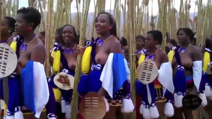 Zulu And Swazi NAKED Virgin Girls Dance For Their King