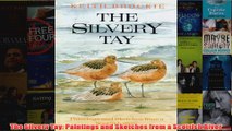 The Silvery Tay Paintings and Sketches from a Scottish River