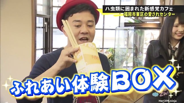 HKT48 no Goboten ep80 160110