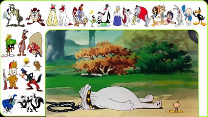 PIOLIN: Birdy & The Beast 🐦🦁 (Anime Kids)