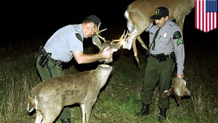 This is why Robo-Deer sting operations probably give poachers nightmares