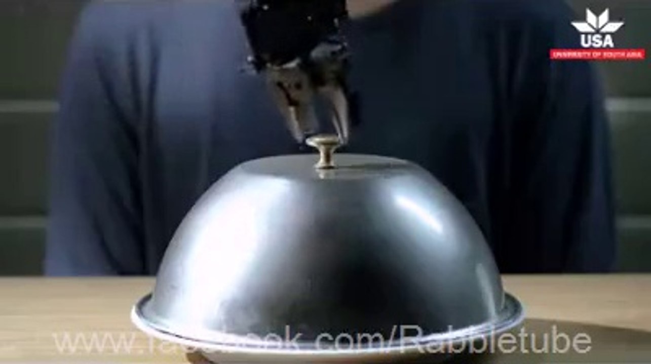 Latest Technology in USA ...... Now Robots will do your work.