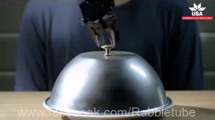 Latest Technology in USA ...... Now Robots will do your work.