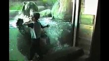 Kids At The Zoo