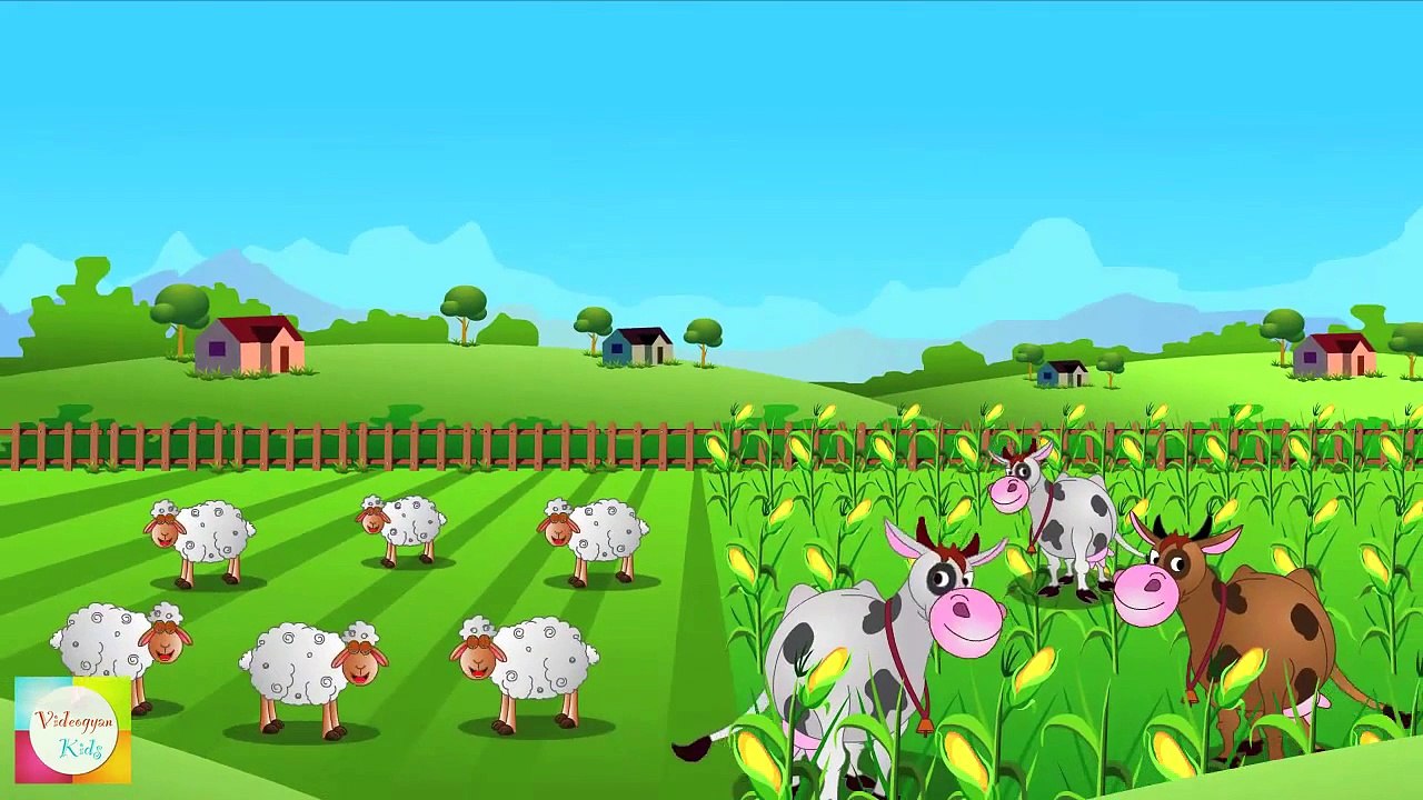 Little Boy Blue Nursery Rhymes | Cartoon Animation Songs For Children