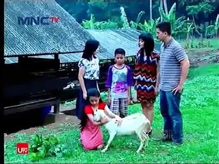 FILM TV FTV Terbaru Laras dan Kambing Berbulu Emas