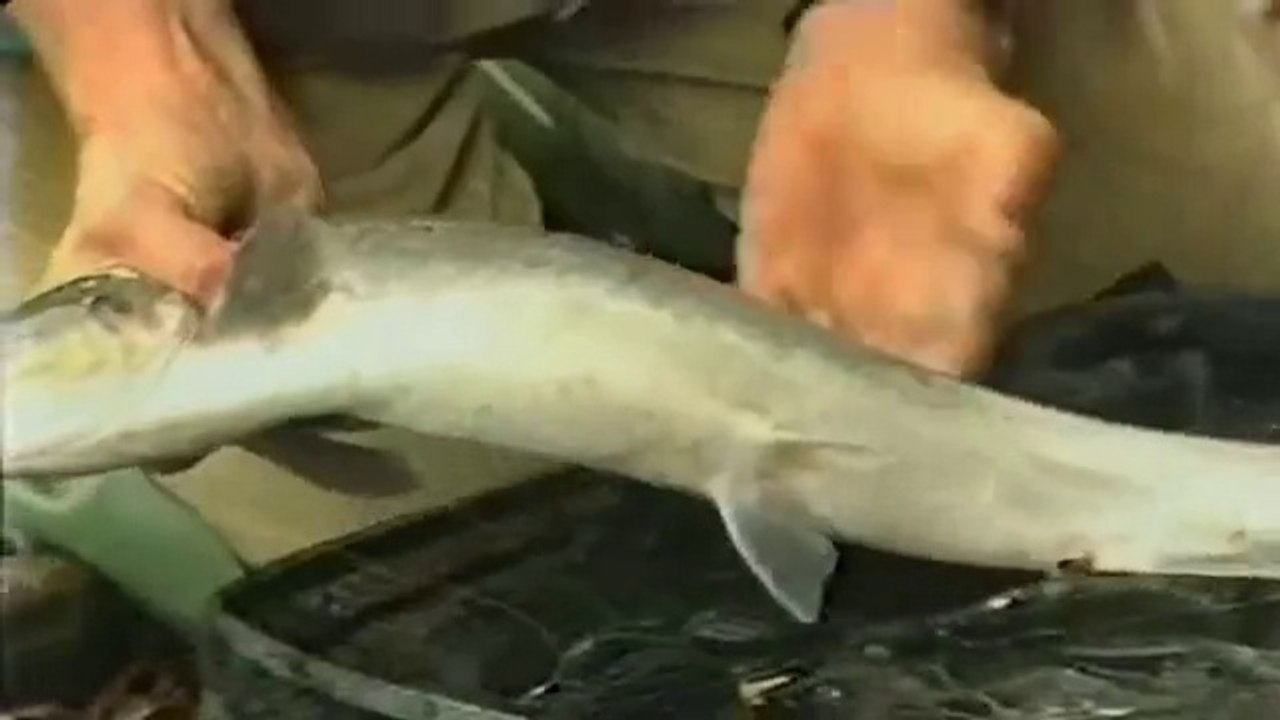 Go Fishing with John Wilson - The King of Fish (Salmon)