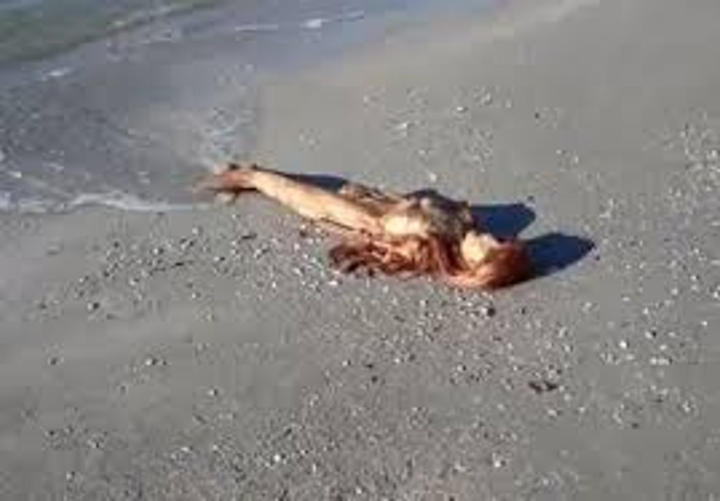 Real Or Fake- Photos You Won't Believe!