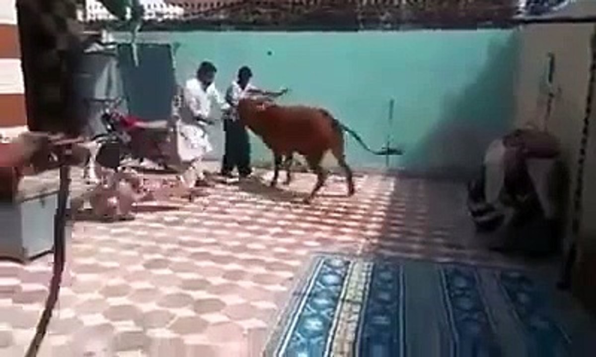 dil tore k